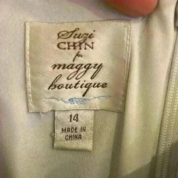 Suzi Chin for Maggy Boutique Scrunched Dress - Picture 4 of 7